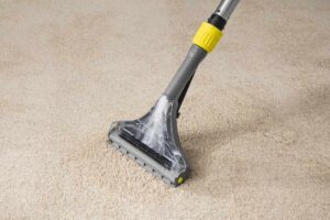 Puzzi 10/2 carpet extractor closeup